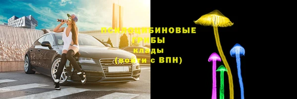 гашик Алзамай
