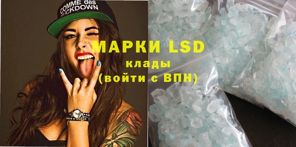 гашик Алзамай