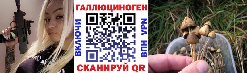 дарнет шоп  Подольск  мега ONION  Галлюциногенные грибы ЛСД 