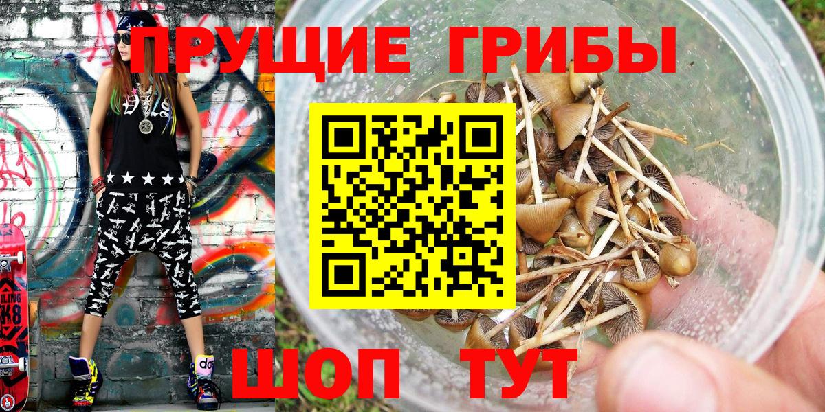 Галлюциногенные грибы MAGIC MUSHROOMS  Вход с VPN  Подольск 
