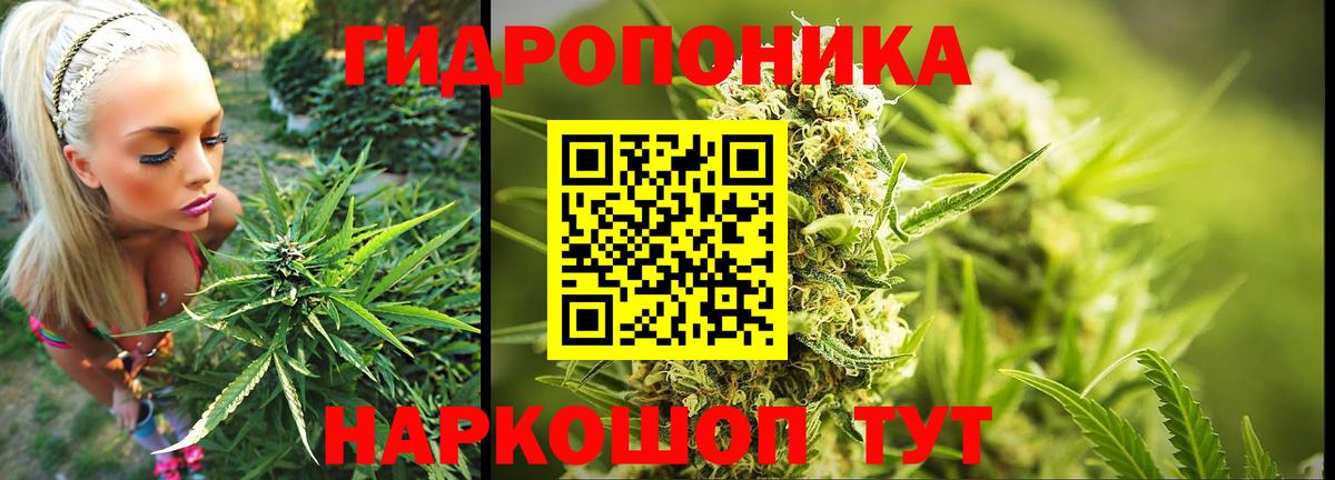 Подольск  Бошки марихуана семена  Вход с VPN  Бошки марихуана конопля 